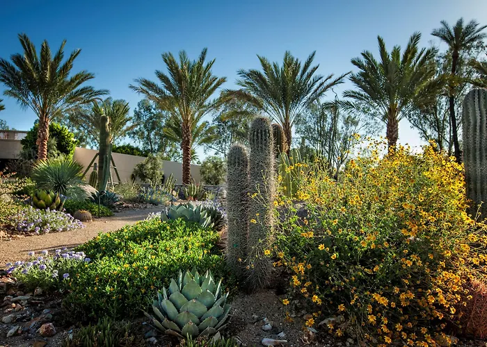 The & Spa, Curio Collection By Hilton Resort Scottsdale